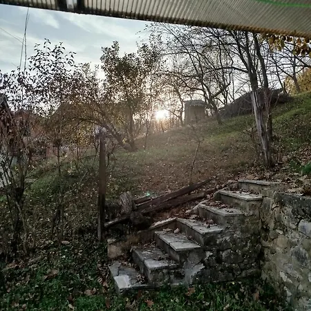 펜션 Raj Gornja Toplica